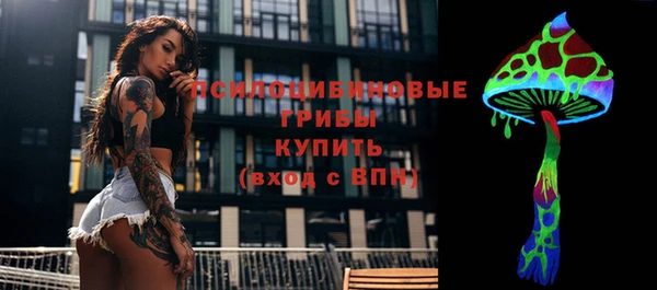 гидра Мурманск