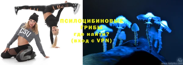 сатива Магадан