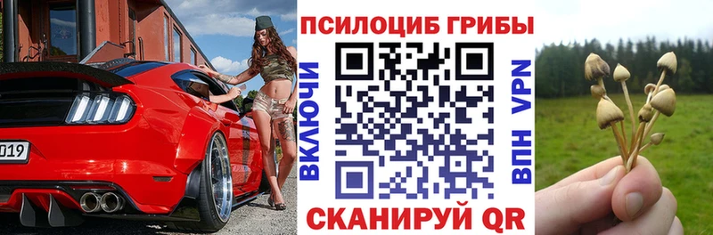 Псилоцибиновые грибы GOLDEN TEACHER  OMG рабочий сайт  Людиново 