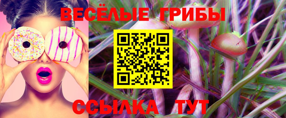 МАРИХУАНА  КОКАИН  Меф  Вход с VPN  Людиново  A-PVP  Канабис  LSD-25  MDMA  Плюхи  NBOMe 