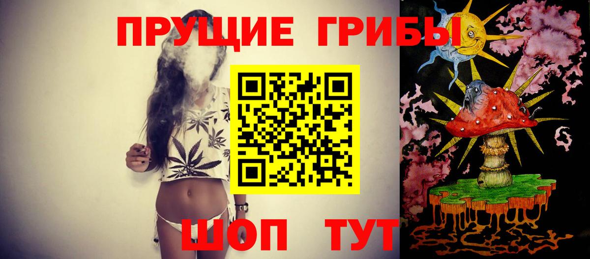 Галлюциногенные грибы Cubensis  Галлюциногенные грибы прущие грибы  Людиново  Вход с VPN 